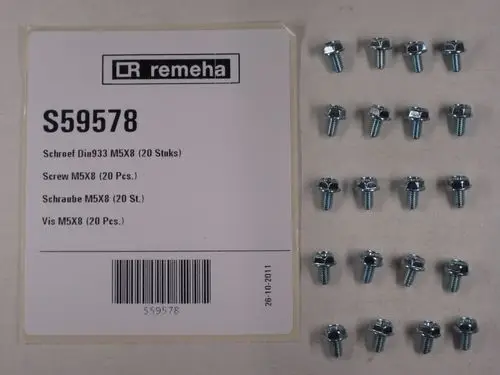 Remeha Schrauben in einer Packung, 20 Stück, in metallischer Ausführung auf einem neutralen Hintergrund angeordnet.